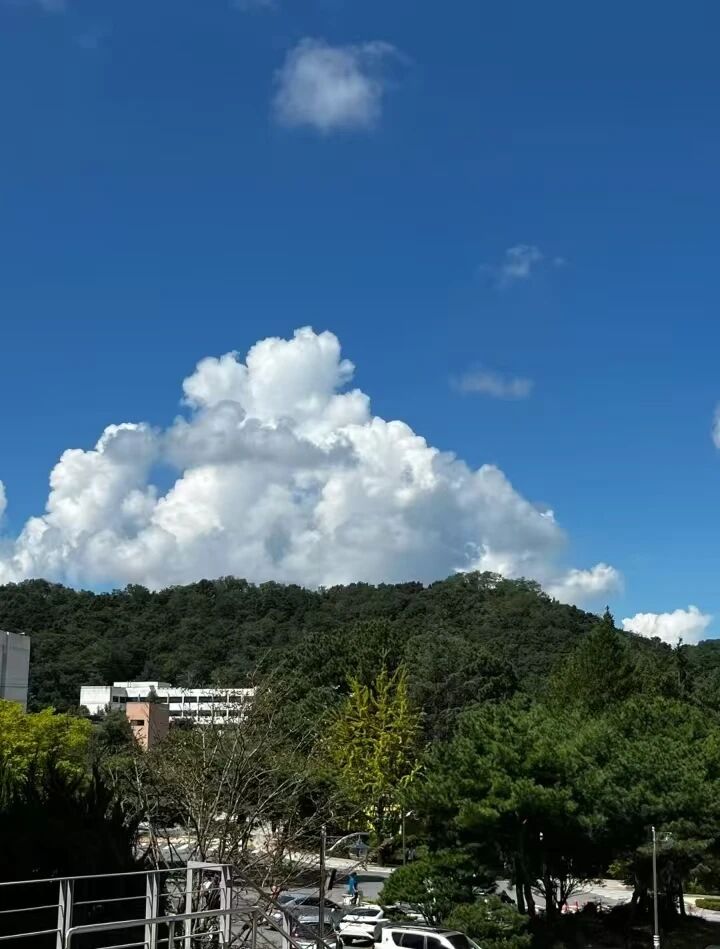 2603全州大学高升本入学简章(图11) 2603全州大学高升本入学简章(图11)