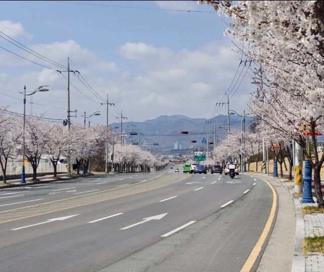 2026年3月大邱大学中文授课专升本(图6) 2026年3月大邱大学中文授课专升本(图6)