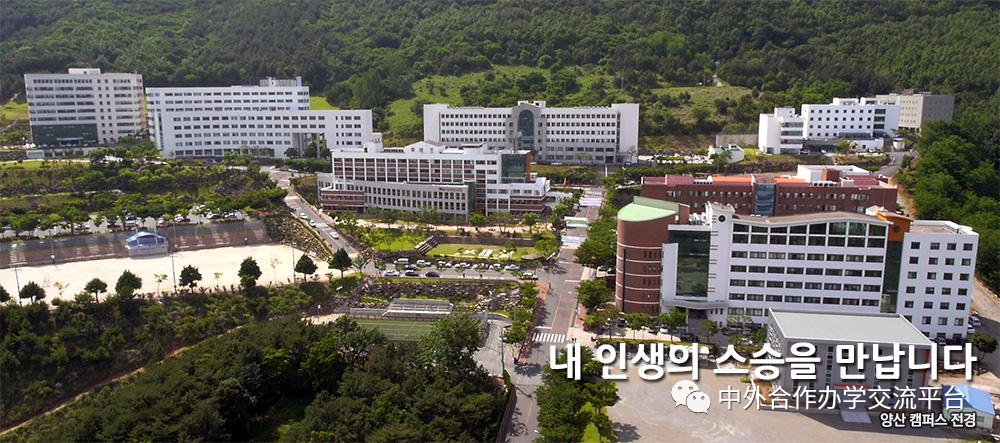 专升本 || 韩国灵山大学一年制专升本及硕博2025年3月入学(图4)