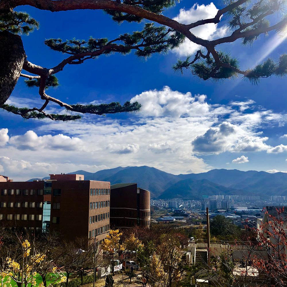 专升本 || 韩国灵山大学一年制专升本及硕博2025年3月入学(图18)