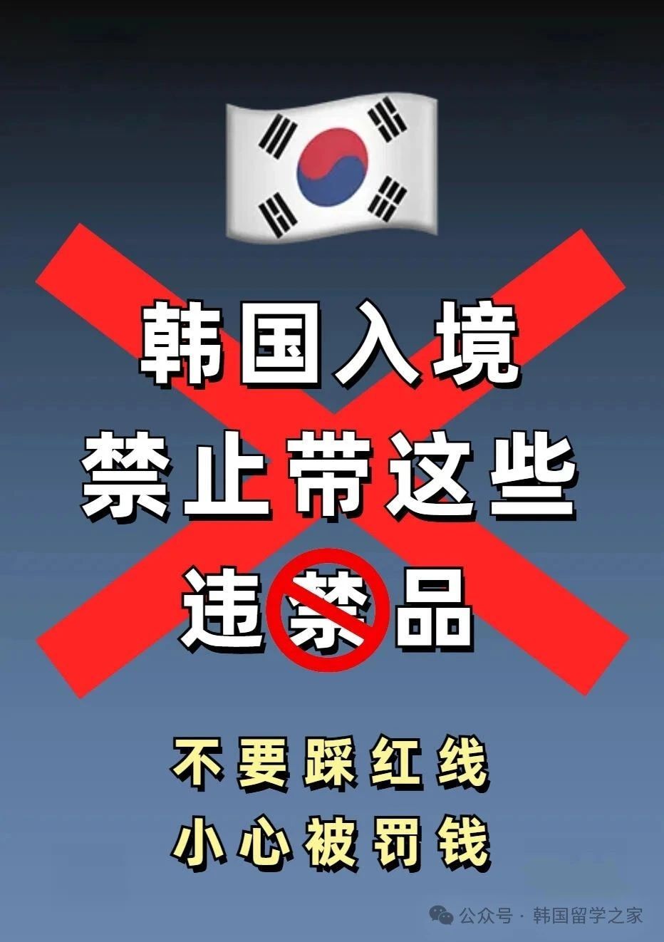 韩国入境违禁物品清单（小心被罚款）(图1)