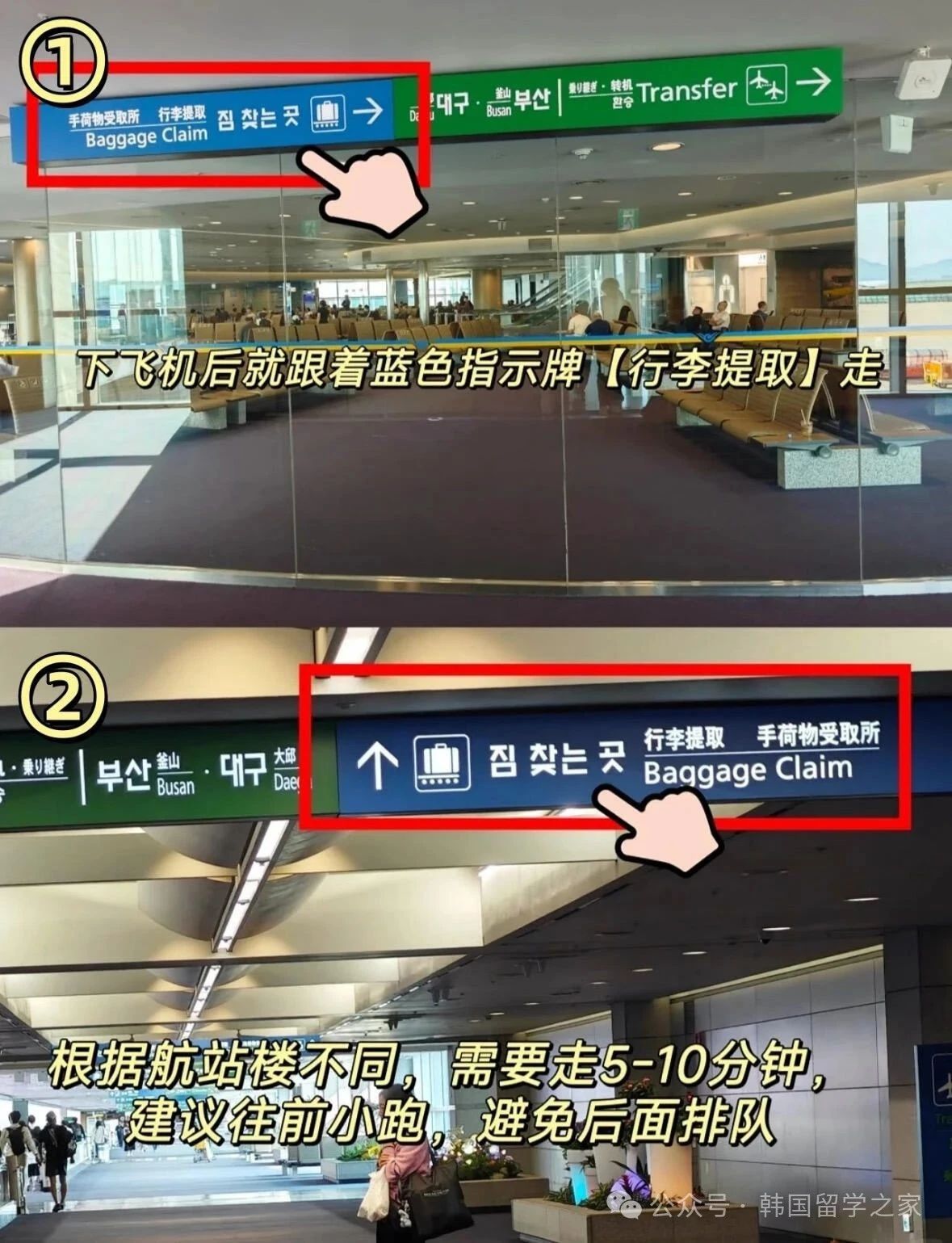 韩国入境全流程（不会韩语也不用担心）(图3)