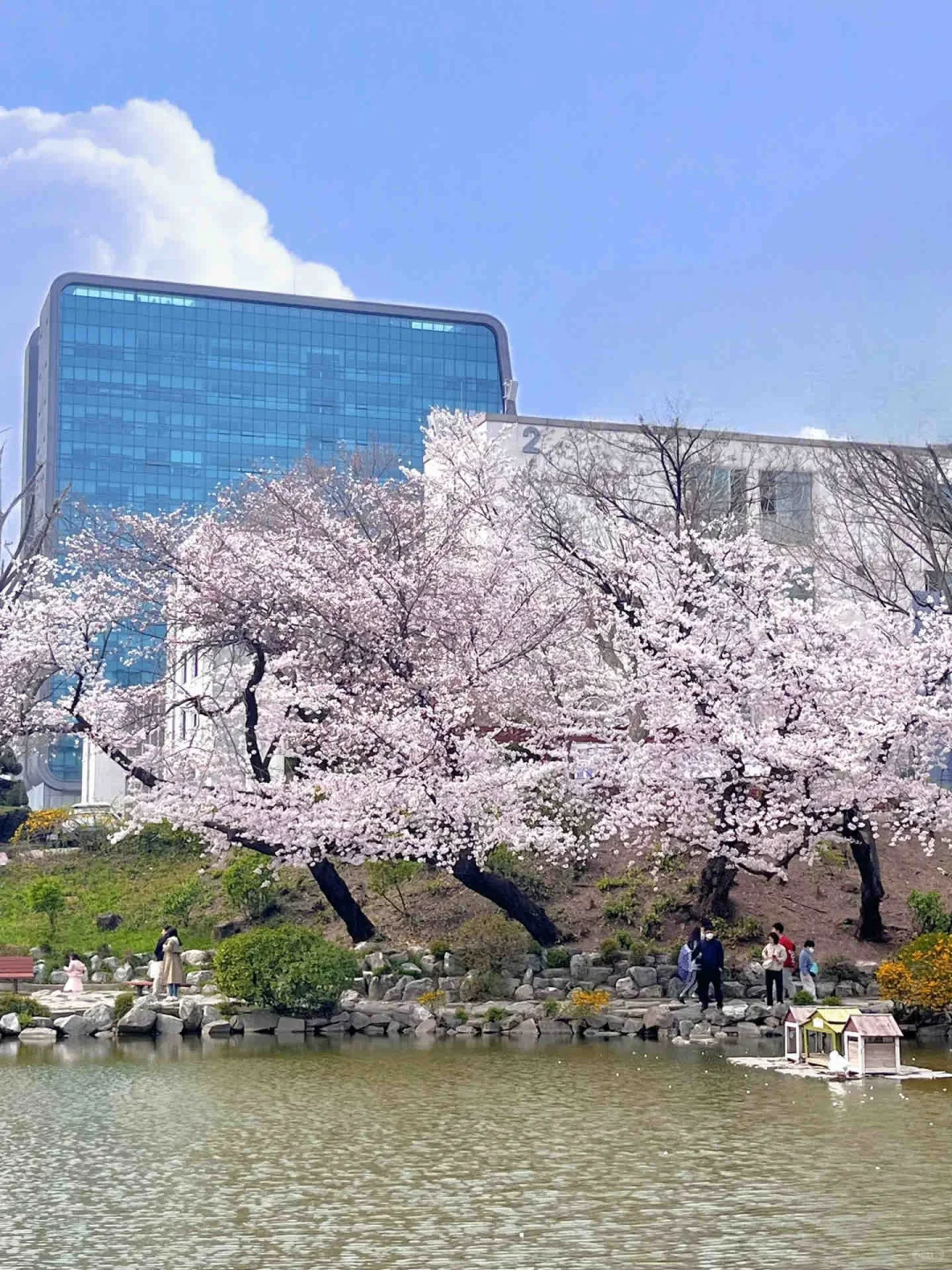 仁荷大学一年制中文授课硕士(图4) 仁荷大学一年制中文授课硕士(图4)