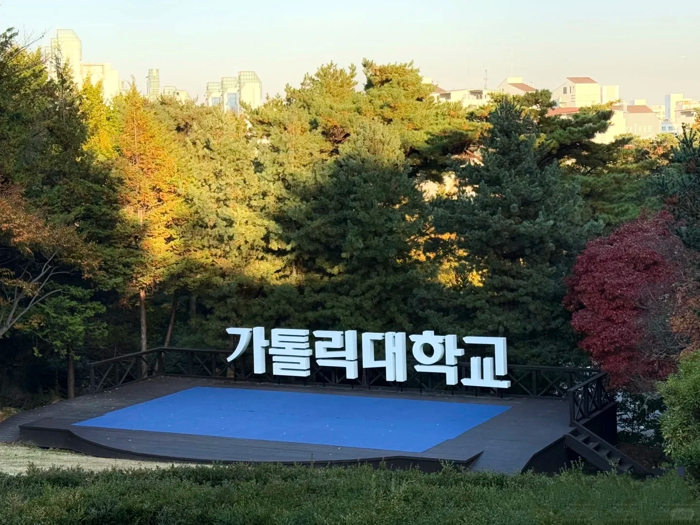 韩国加图立大学1年制中文授课硕士(图1) 韩国加图立大学1年制中文授课硕士(图1)