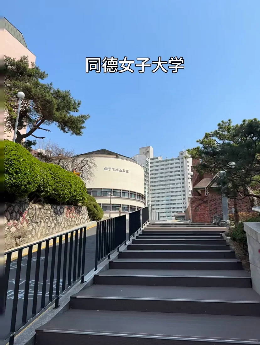 2026年3月同德女子大学一年制中文授课专升本(图1) 2026年3月同德女子大学一年制中文授课专升本(图1)